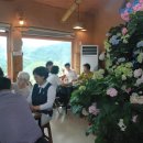 화순골망태 네이버블로그