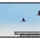 세무회계고유 이미지