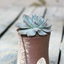 파랑새공방