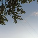 알고가면 더 재미있는 여행이야기 | 금오도 여행 후기 모음 – 생생한 블로그 리뷰 정리와 인기 코스, 맛집까지