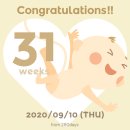 세광방역공사 | 격동의 임신 후반 1..(임신 31주~35주, 막달검사, 임산부 고혈압, 역아, 출산준비 시작)