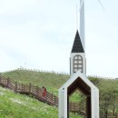 이화택시 이미지