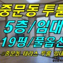 중문동-19 Daum카페