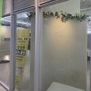 가장아름다운날(미용실) | 마곡 발산미용실, 인생 머리 찾아가는 나만의 비밀 정원