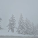 다인 행정사사무소 이미지