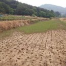 경임농장 이미지