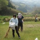 죽도농장 이미지