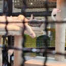 ★1 경상남도 양산 _ 리틀히어로 zoo 솔직 후기 :실망^^ (초딩미만은 뭐....)