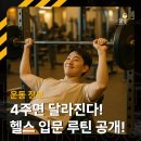 (주)브이엠케이헬스 | 용두동 PT 전문 헬스장 헬스 입문자 필독! 4주 완성 기초 근력 루틴 여름 단기 다이어트!