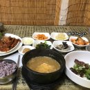 몰디야 안녕? 임신 21주, 22주 임신 증상, 임산부 식단과 일상 주수 기록