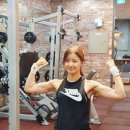 데일리피티 이미지