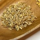 파로(FARRO)