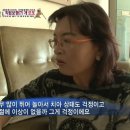 또또농장 Daum카페