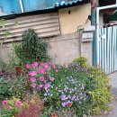 김수녕양궁장 이미지