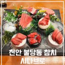 시나브로참치 이미지