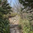 칠성초 쌍곡분교 | 충청도 철쭉 축제 명소 베스트 10 봄 산행 가기 좋은 분홍빛 꽃물결 드라이브 코스와 사진 잘 나오는...