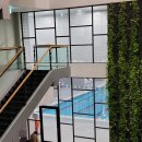 수영사우나 이미지