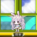메이플 애쉬 버블리 헤어(노보3367)후기