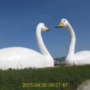 강진 버스여객터미널 이미지