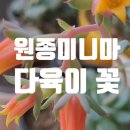 원종화원 이미지
