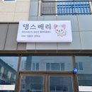 댕스베리 이미지