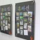 환갤러리 이미지
