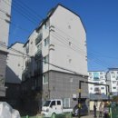 새꽃로(1) 네이버블로그