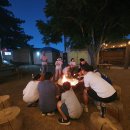 라스베가스 | 라스베가스 즐기기 만족도 순위 내돈내산 후기 (캐년 투어, KA쇼, 스피어 등)