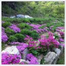 금산IC 이미지