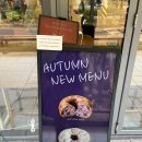 아이엠 | 공덕역 베이글 샌드위치 샐러드 맛집 ‘아이엠베이글’ 내돈내산 후기