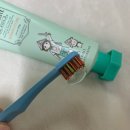 코스티엑스 | 베르베르 저불소 "키즈치약& 키즈칫솔"