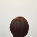 트레보헤어 이미지