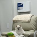 오하뷰티스튜디오 이미지