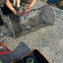 추도펜션 이미지