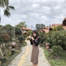 동화나라 애견 이미지