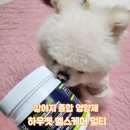 멀티헬스케어 | 피부·관절·면역 한 번에! 강아지 종합 영양제 하우펫 헬스케어 멀티