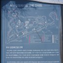 충남 수선화 명소 추사 김정희고택 수선화 4월 6일 개화상태