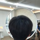 광어총각생굴처녀 이미지