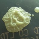 새소리농장 이미지