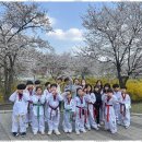 대상태권도장 이미지