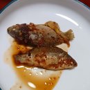 민물고기 쪼림(낚시)(25.12.12) 이미지