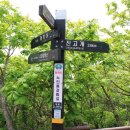 롯데캐슬 아파트 건너편 버스정류장 이미지