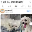 한림동물병원 이미지