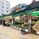 진영고시텔 - 중구 신포로39번길 7 | 진영고시텔