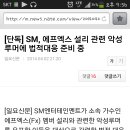 [단독] SM, 에프엑스 설리 관련 악성 루머에 법적대응 준비 중 이미지