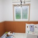 위드유애견 이미지