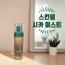 스킨덤 클리어 비비드 시카 미스트 후기 병풀잎수 진정 효과, 화잘먹템 인정