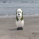 페버 이미지