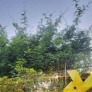 군자농협하나로마트대부점 이미지