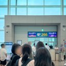 발리 | 대한항공 기내식 신청 메뉴 인천 발리 해산물식 후기